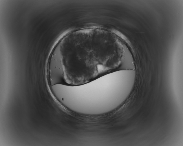 X0000086911431200704160959