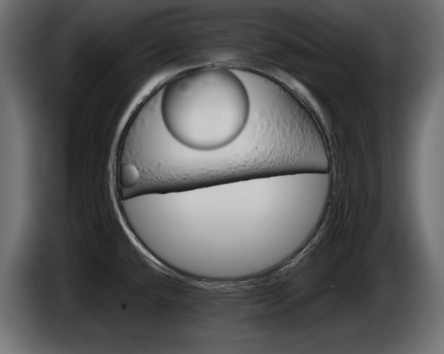X0000086911432200704160959