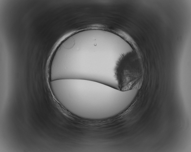 X0000086911435200704160959