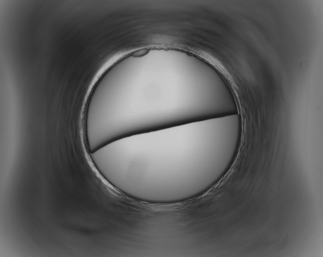 X0000086911440200704160959