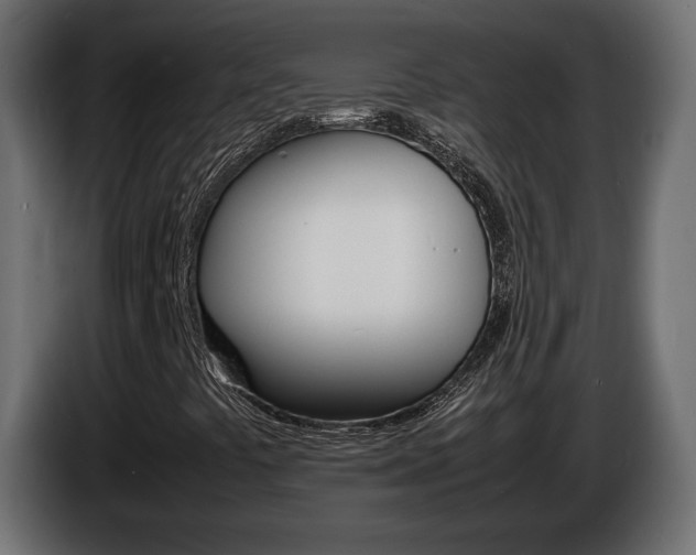 X0000086911441200704160958