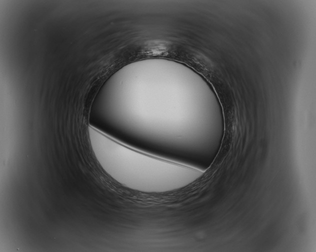 X0000086911442200704160958