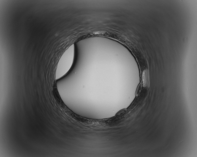 X0000086911443200704160958