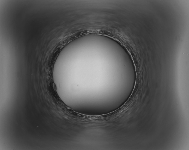 X0000086911445200704160958