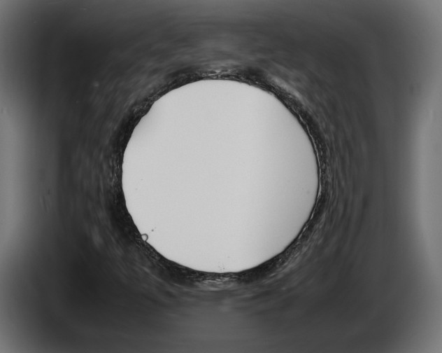 X0000086911447200704160958