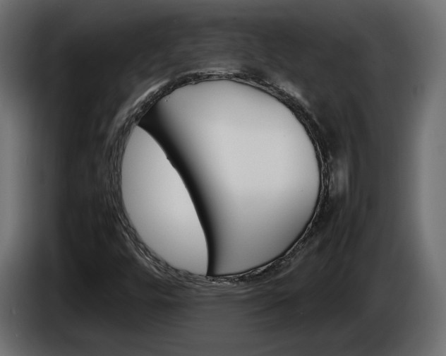 X0000086911448200704160958
