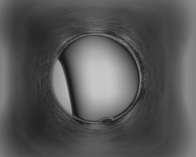 X0000086911449200704160958