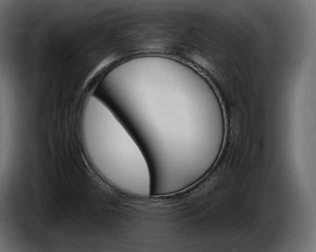 X0000086911450200704160958