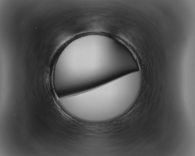 X0000086911452200704160958