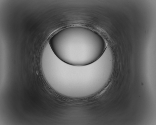 X0000086911457200704160958