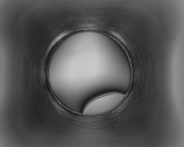 X0000086911458200704160958