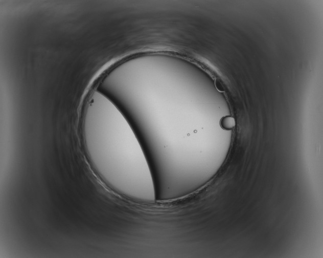 X0000086911460200704160958