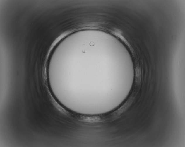 X0000086911466200704160958