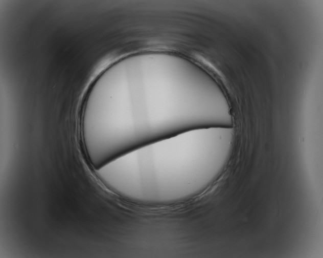 X0000086911467200704160958