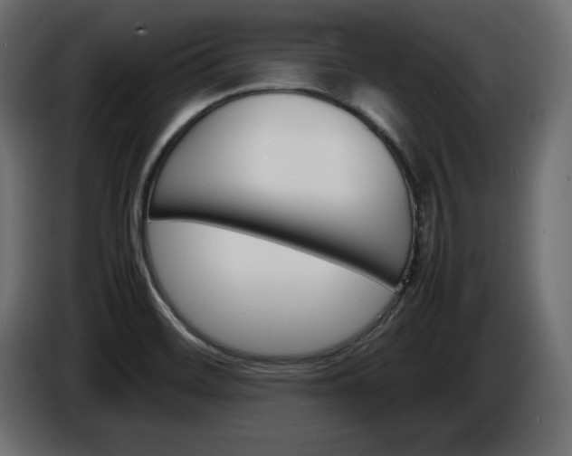 X0000086911468200704160958