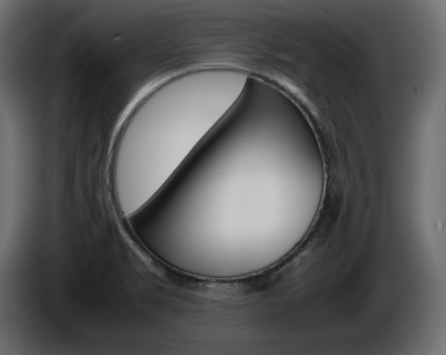X0000086911469200704160958
