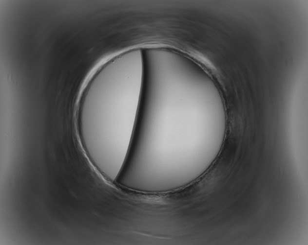 X0000086911472200704160958