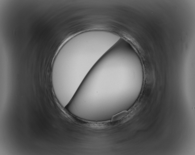 X0000086911473200704160958