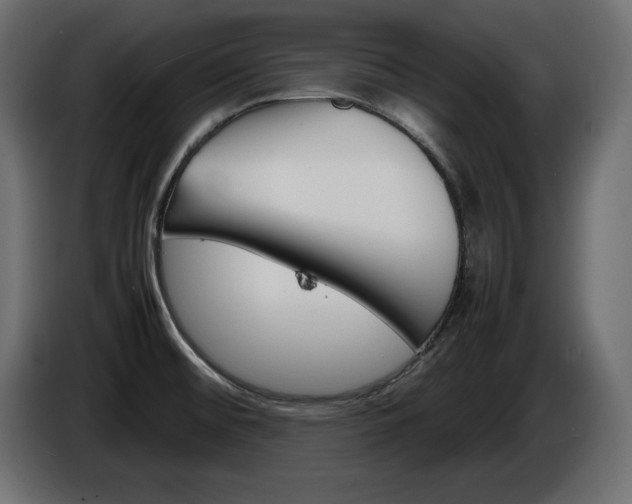 X0000086911476200704160958