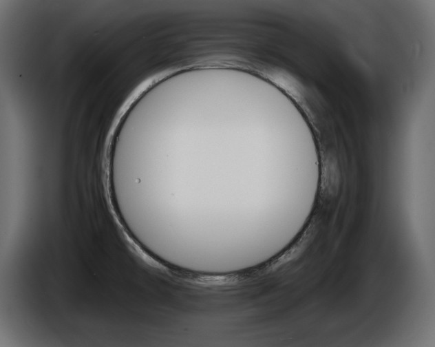 X0000086911478200704160958