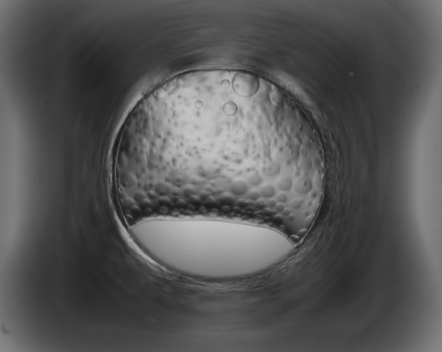 X0000086911479200704160958
