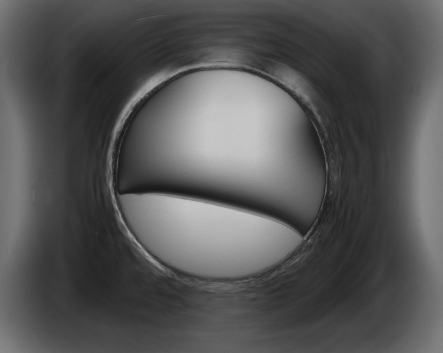 X0000086911480200704160958