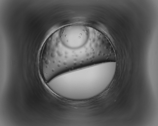 X0000086911483200704160958