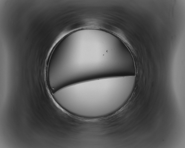 X0000086911484200704160958