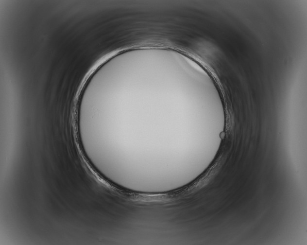 X0000086911486200704160958