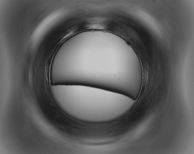 X0000086911487200704160958