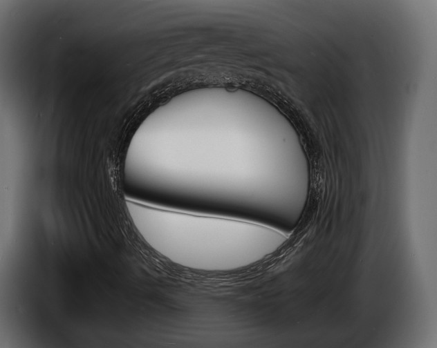 X0000086911490200704160957
