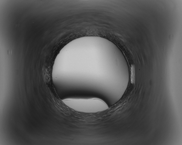 X0000086911491200704160957
