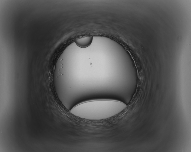 X0000086911495200704160957