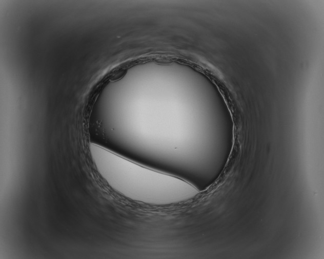 X0000086911496200704160957