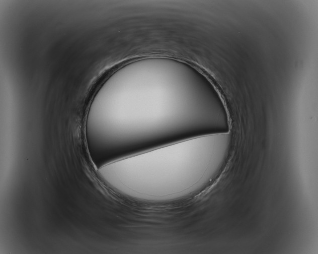 X0000086911499200704160957