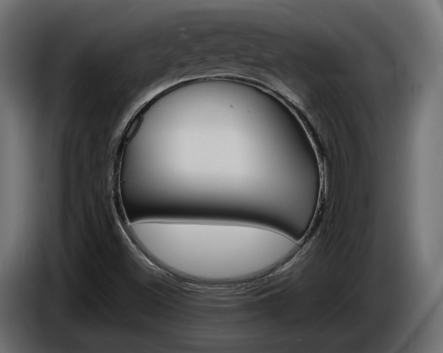X0000086911500200704160957
