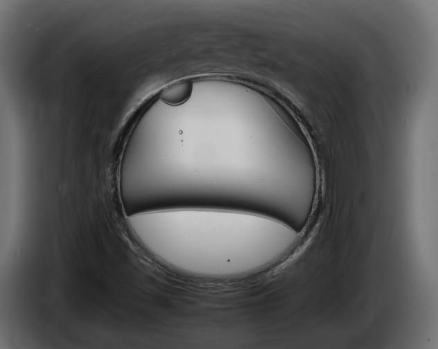 X0000086911501200704160957