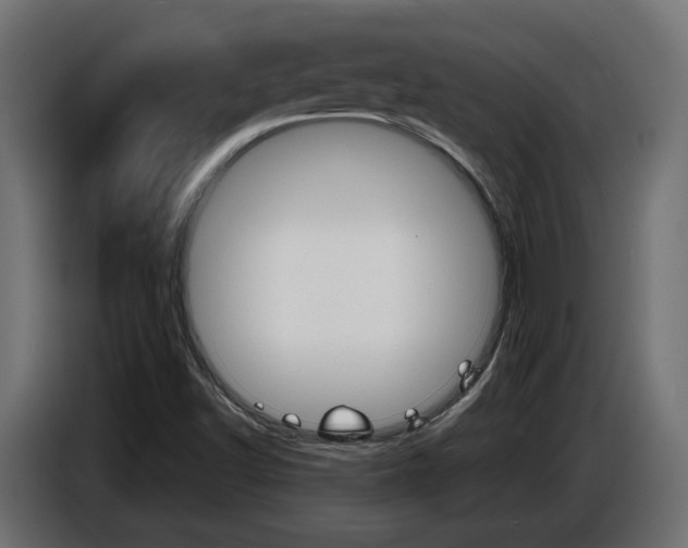 X0000086911502200704160957