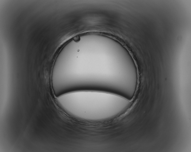 X0000086911505200704160957