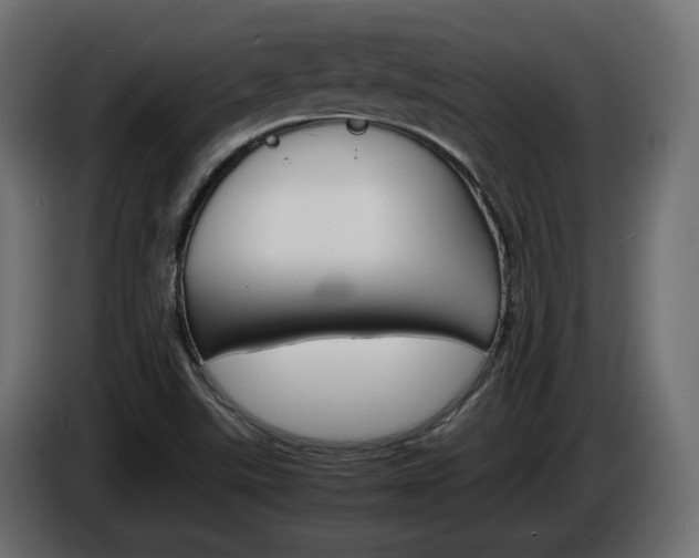 X0000086911507200704160957