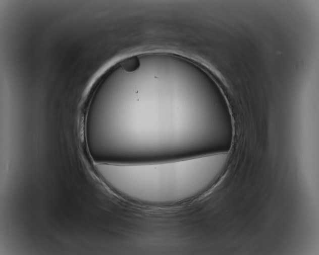 X0000086911510200704160957