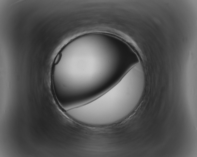 X0000086911512200704160957