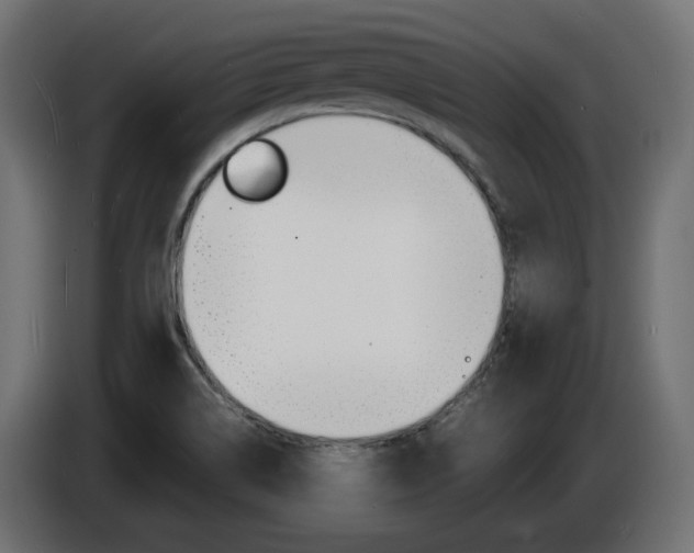 X0000086911514200704160957