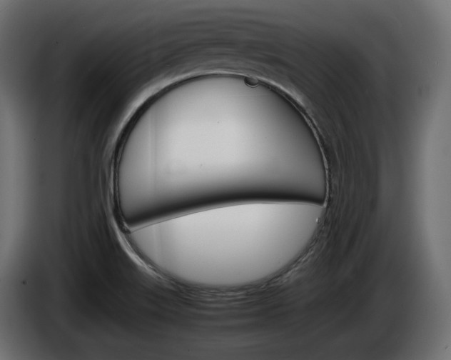 X0000086911515200704160957
