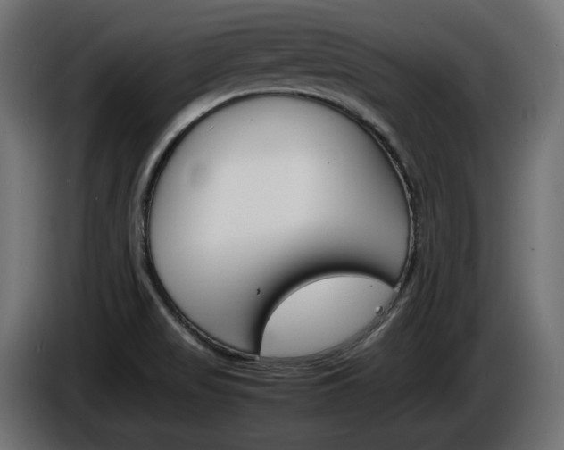 X0000086911517200704160957