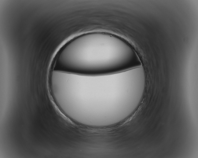 X0000086911518200704160957