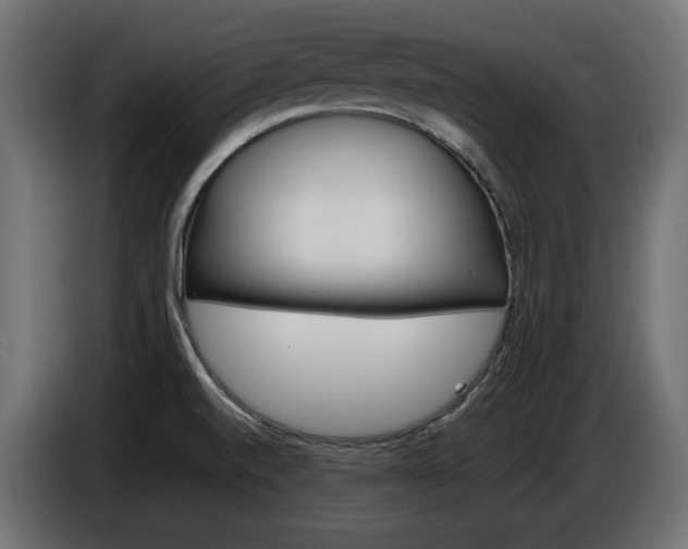 X0000086911520200704160957