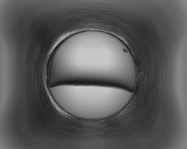 X0000086911523200704160957