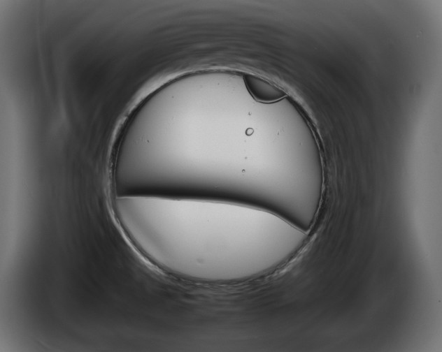 X0000086911525200704160958