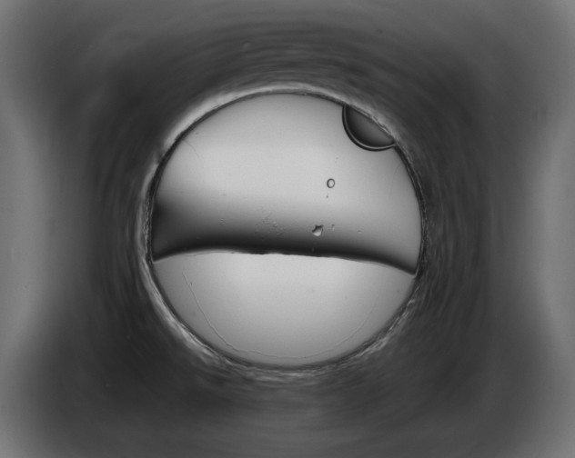 X0000086911526200704160958
